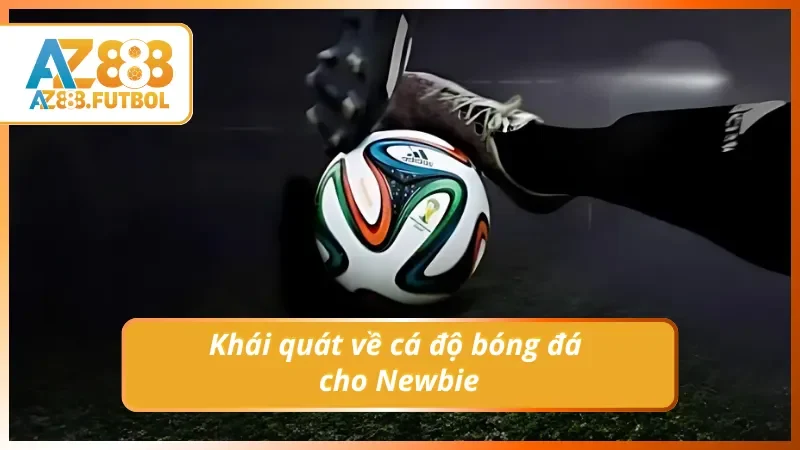 Giới thiệu chi tiết về cá độ bóng đá tại AZ888 cho newbie