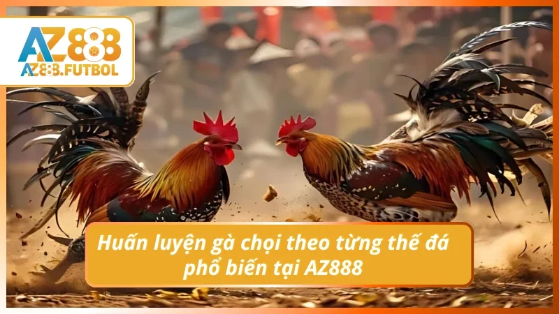 Cách phân biệt huấn luyện sao cho chuẩn theo từng loại tại AZ888