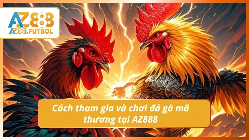 Hiểu rõ nhanh cách tham gia đá gà mã thương tại AZ888