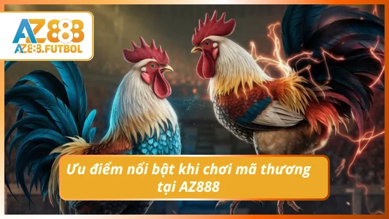 Lý do đá gà tại AZ888 luôn được ưa chuộng
